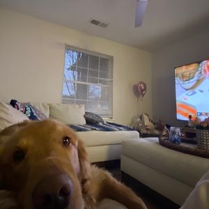 Meet your Posher, Stacey